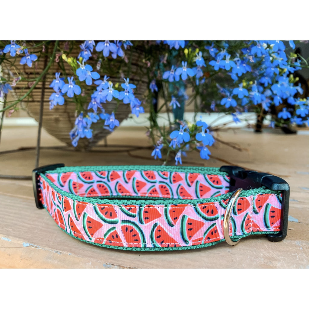 Watermelon Dog Collar - Jersey Border Collars