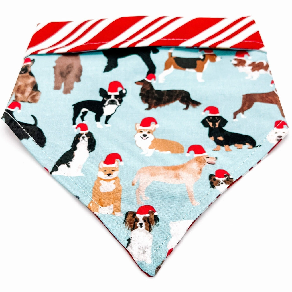 Santa Hat Pawty Bandana - Reversible - Jersey Border Collars