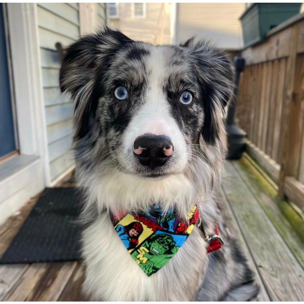 Marvel Bandana - Jersey Border Collars