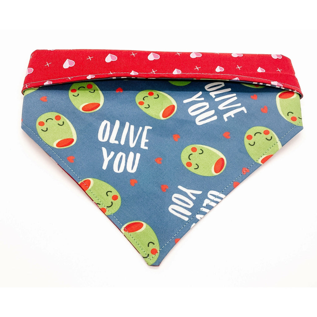 Olive Love Bandana - Reversible - Jersey Border Collars