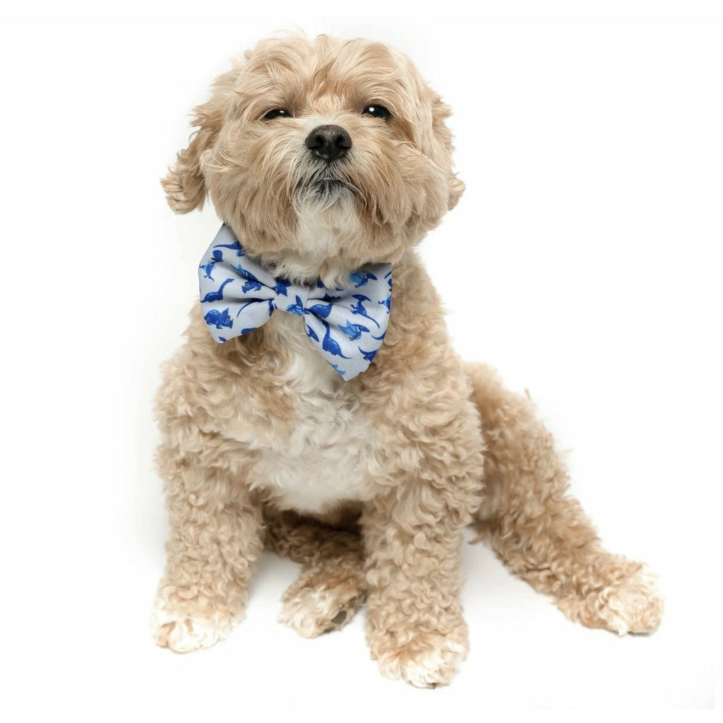 DINOS - DOG COLLAR BOW TIE - Jersey Border Collars