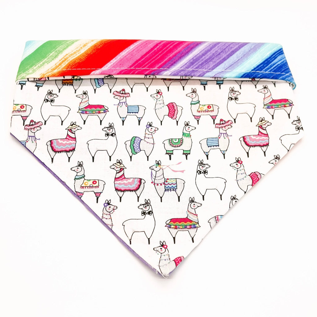 Cinco de Llama Bandana - Reversible - Jersey Border Collars