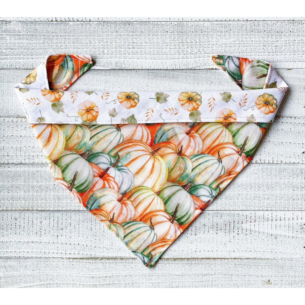 Pumpkin Patch Bandana - Reversible - Jersey Border Collars