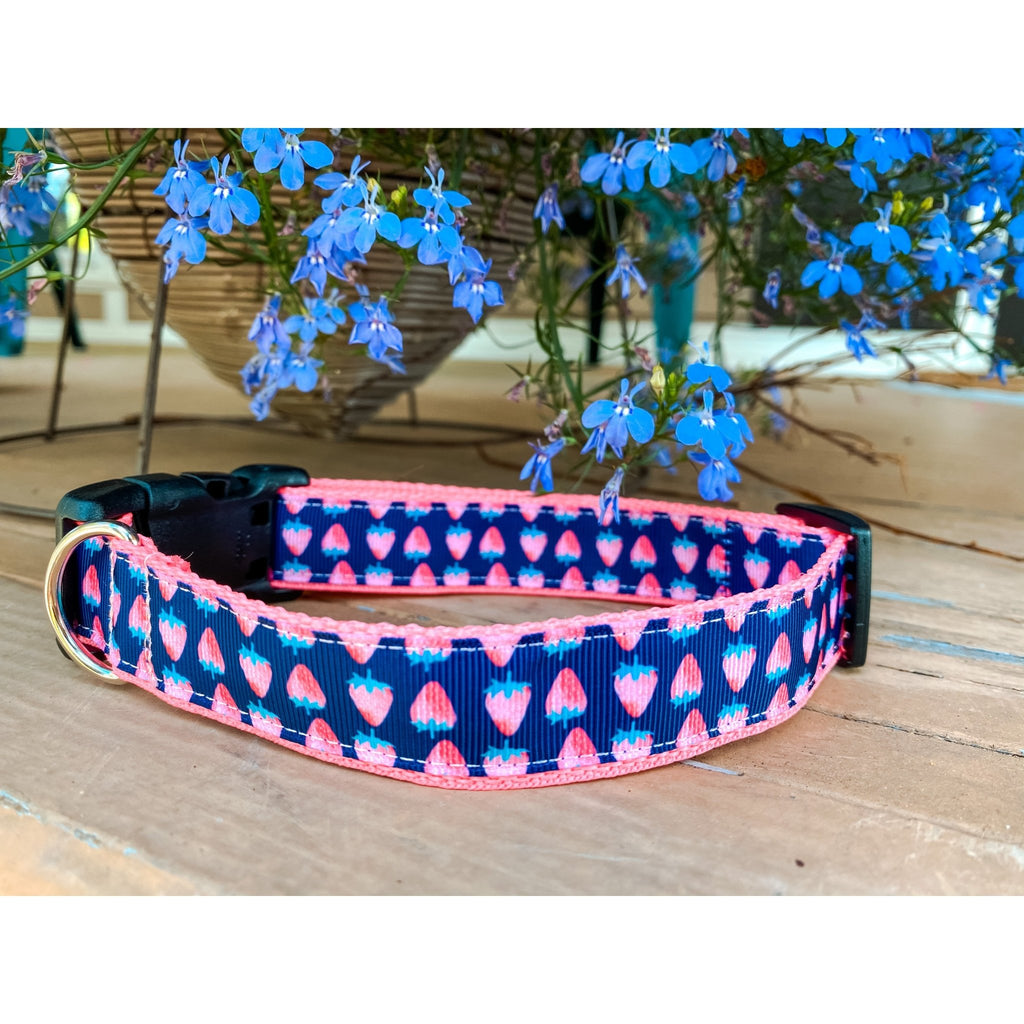 Strawberry Dog Collar - Jersey Border Collars