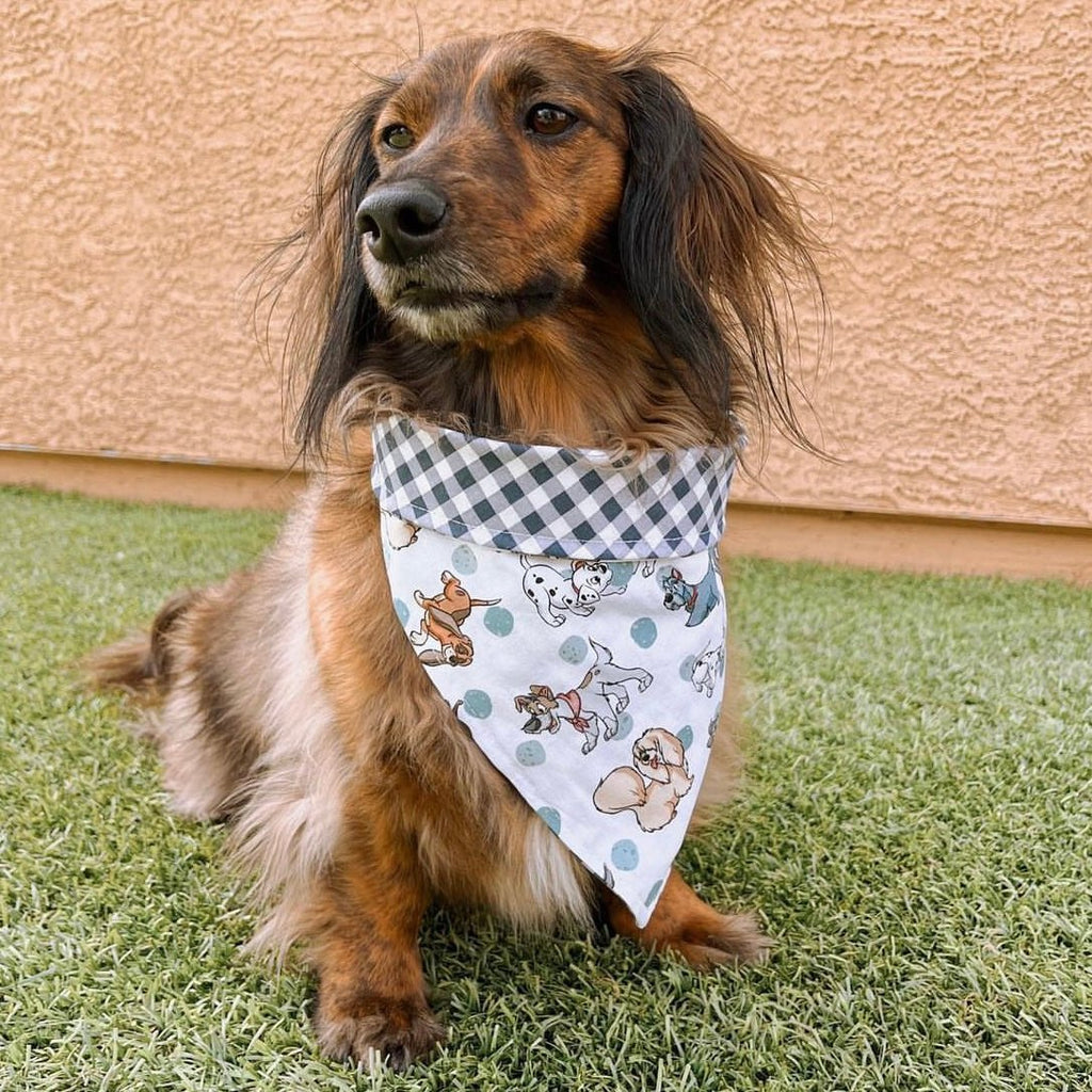 Disney Dogs / Plaid Bandana - Reversible - Jersey Border Collars