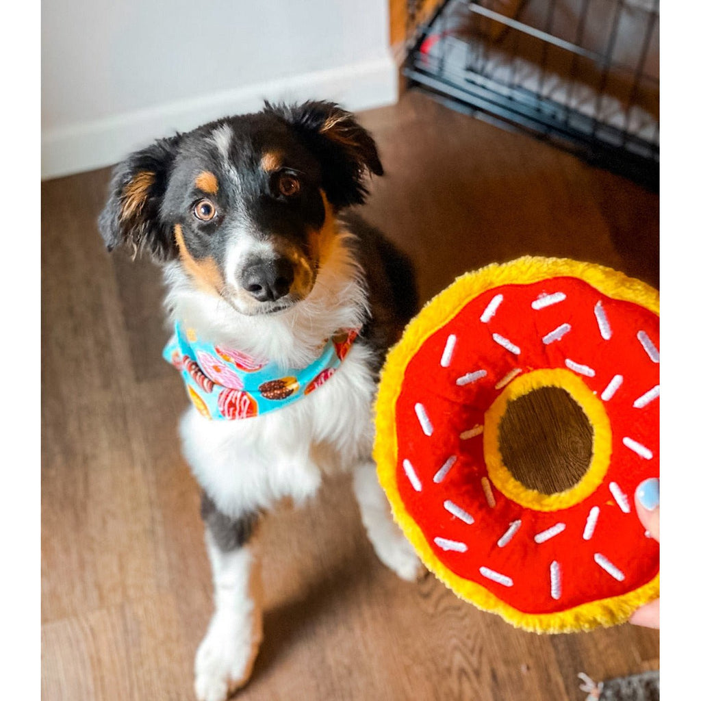 Donuts Dog Bandanna - Jersey Border Collars