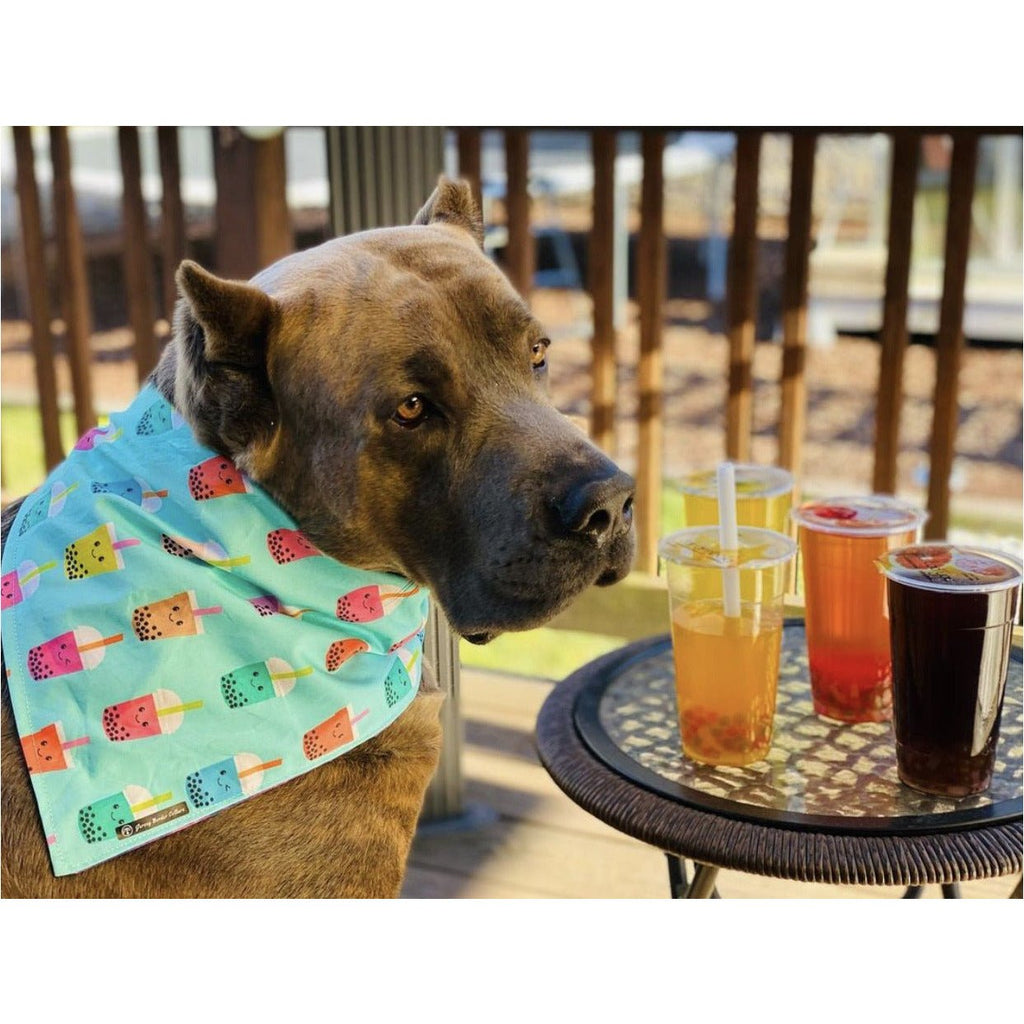 Boba Tea / Purple Fusion Bandana - Reversible - Jersey Border Collars