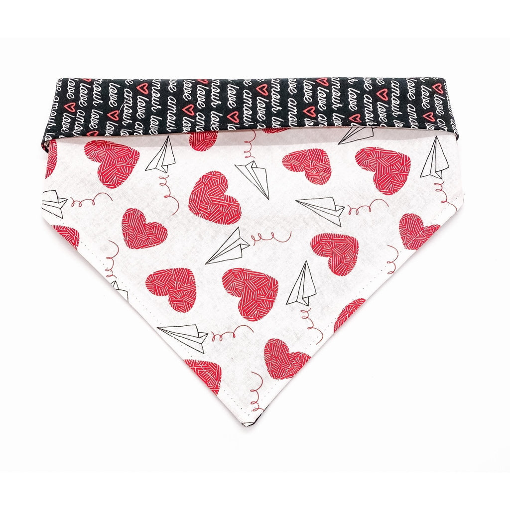 White Paper Airplanes / Love Heart Bandana - Reversible - Jersey Border Collars