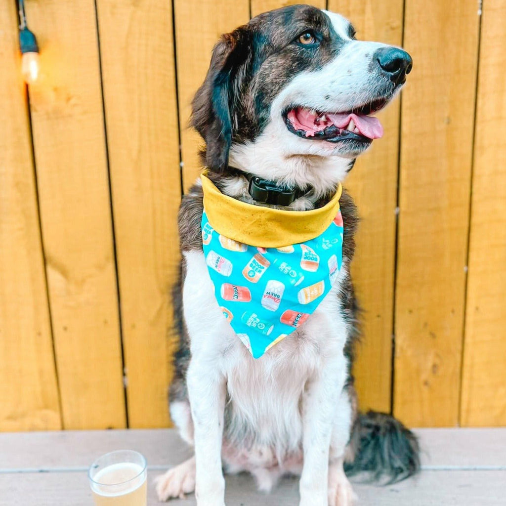 Brew Buddy Bandana - Reversible - Jersey Border Collars