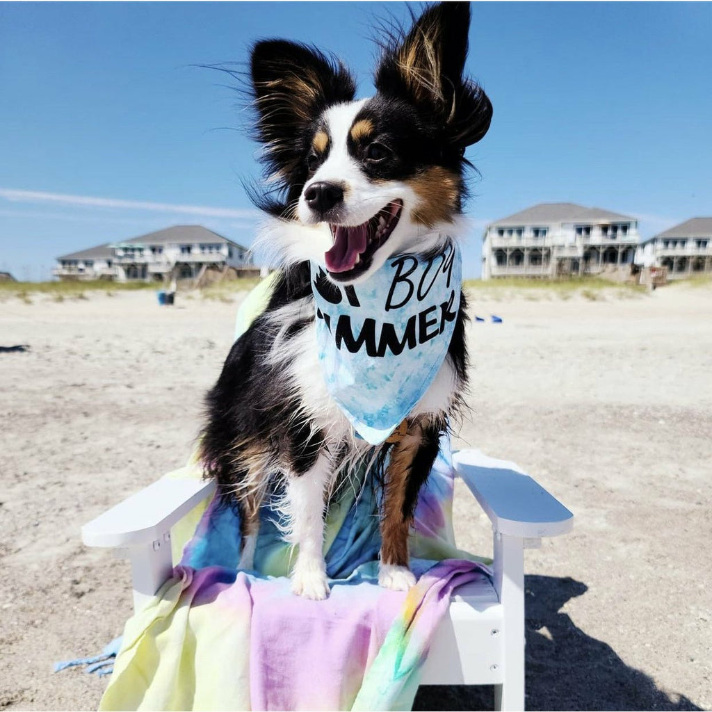 Hot Dog Summer Bandana - Jersey Border Collars