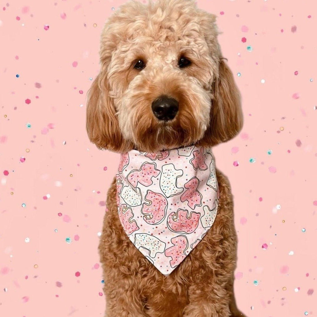 Pink Animal Cracker Bandana - Jersey Border Collars