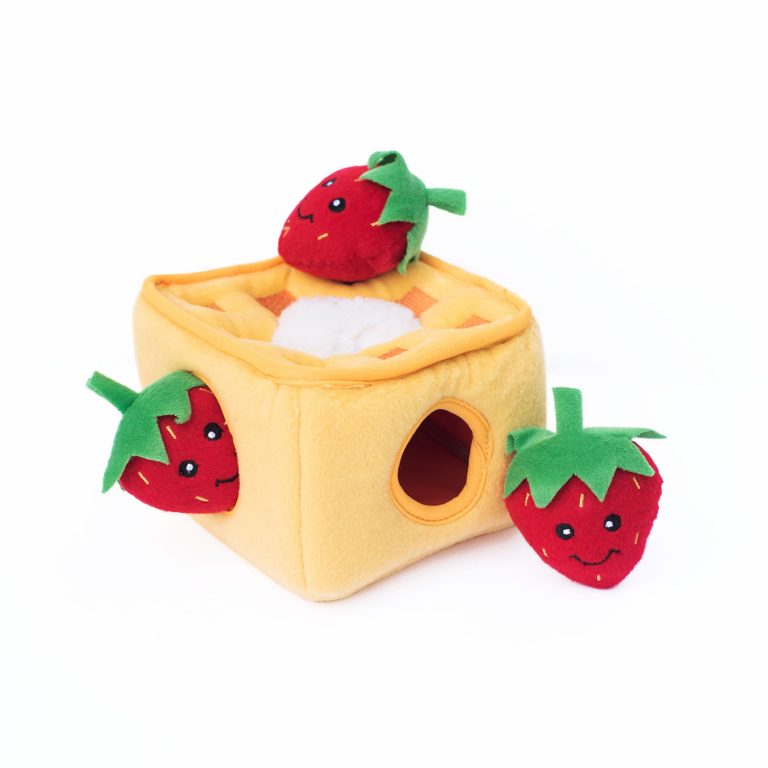 Zippy Burrow - Strawberry Waffles - Jersey Border Collars