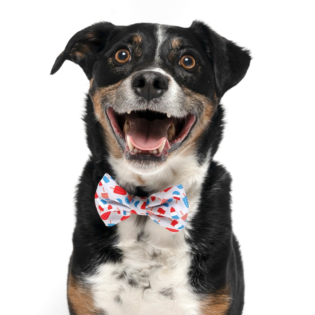 PATRIOTIC ICE POPS - DOG COLLAR BOW TIE - Jersey Border Collars