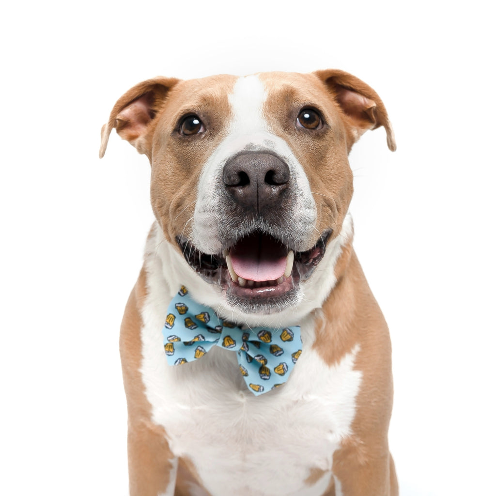 BEER - DOG COLLAR BOW TIE - Jersey Border Collars