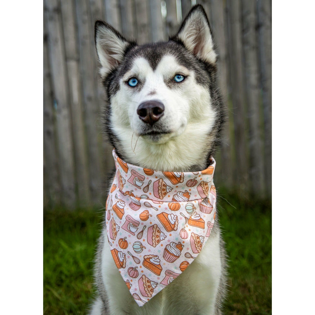 Autumn Baking Bandana - Jersey Border Collars