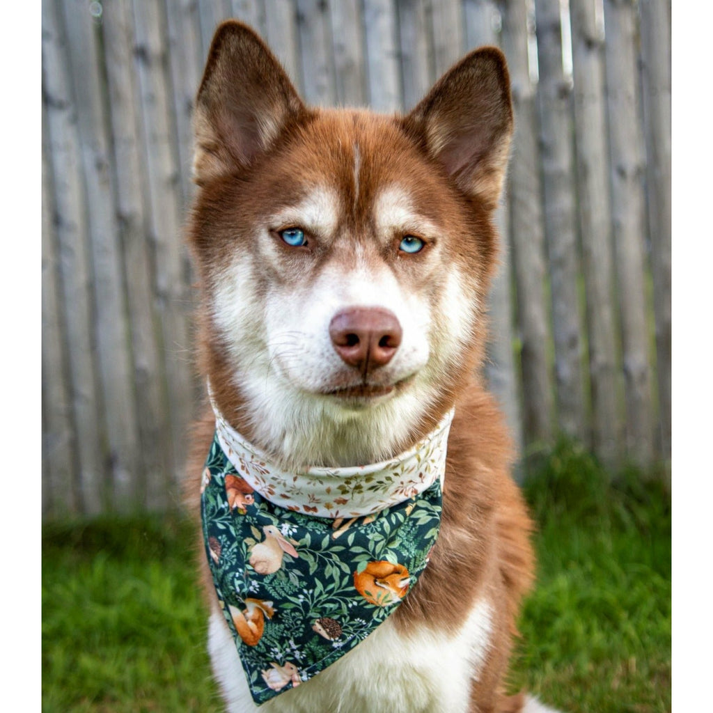 Bambi Forest / Autumn Fern Bandana - Reversible - Jersey Border Collars