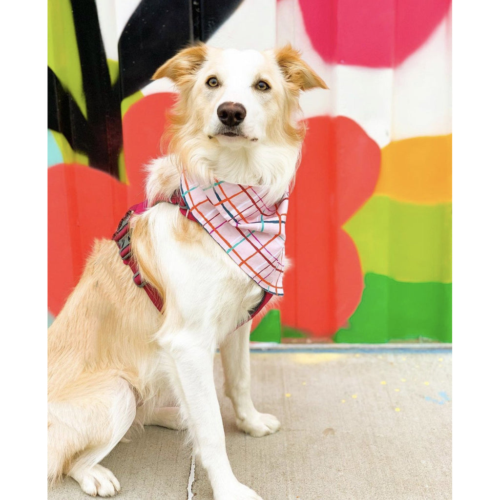 Pink Winter Plaid Bandana - Jersey Border Collars