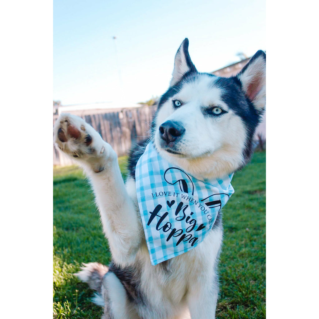 I Love It When You Call Me Big Hoppa Bandana - Jersey Border Collars