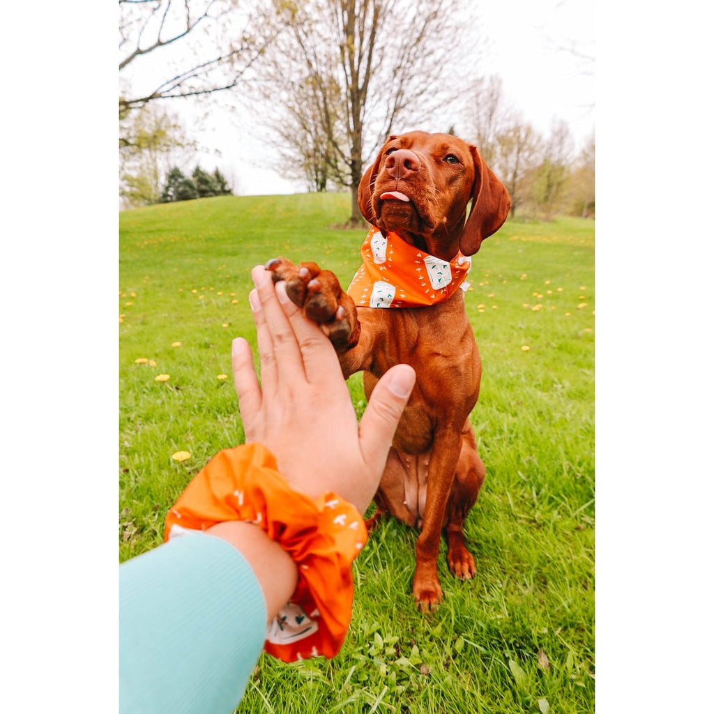 Firefly Bandana - Jersey Border Collars