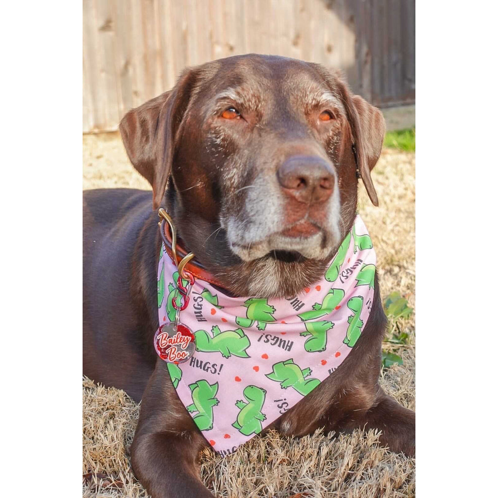 Dinosaur Hugs Bandana - Jersey Border Collars