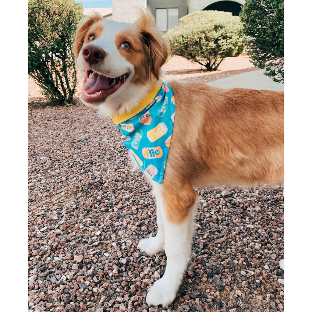 Brew Buddy Bandana - Reversible - Jersey Border Collars