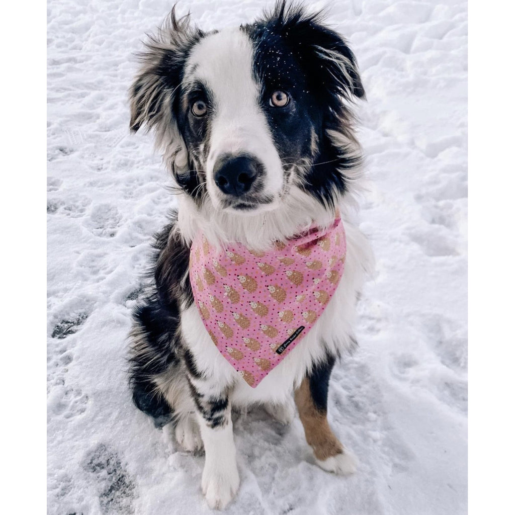 Pink Hedgehog Bandana - Jersey Border Collars