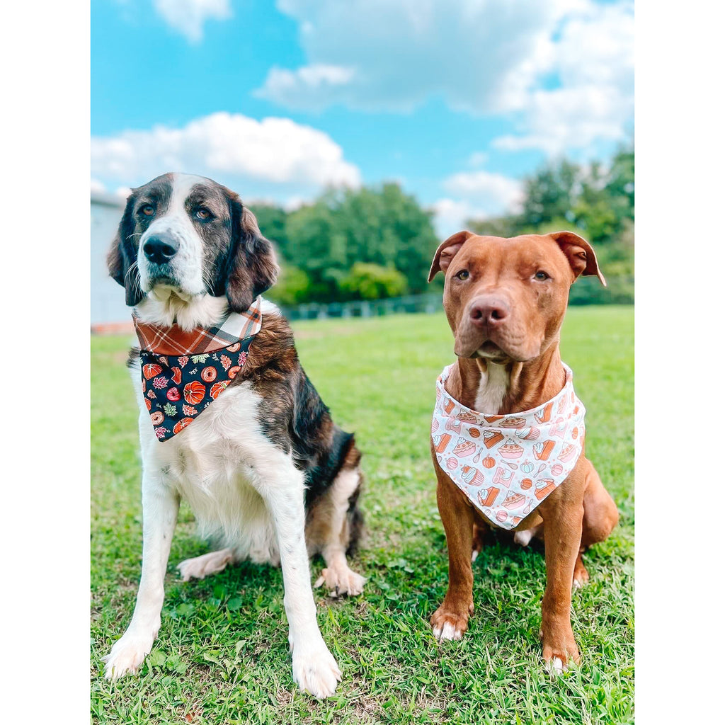 Autumn Baking Bandana - Jersey Border Collars