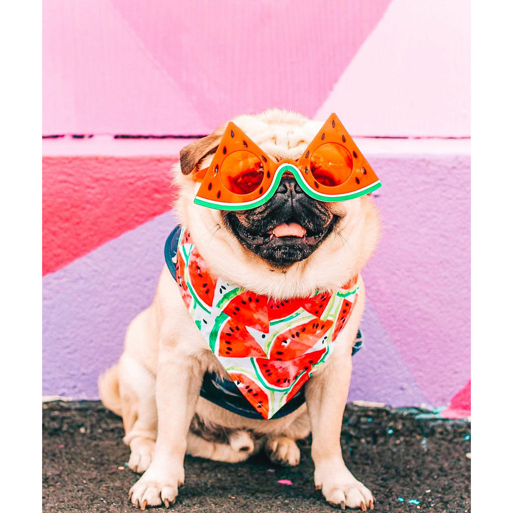 Watermelon Bandana - Jersey Border Collars