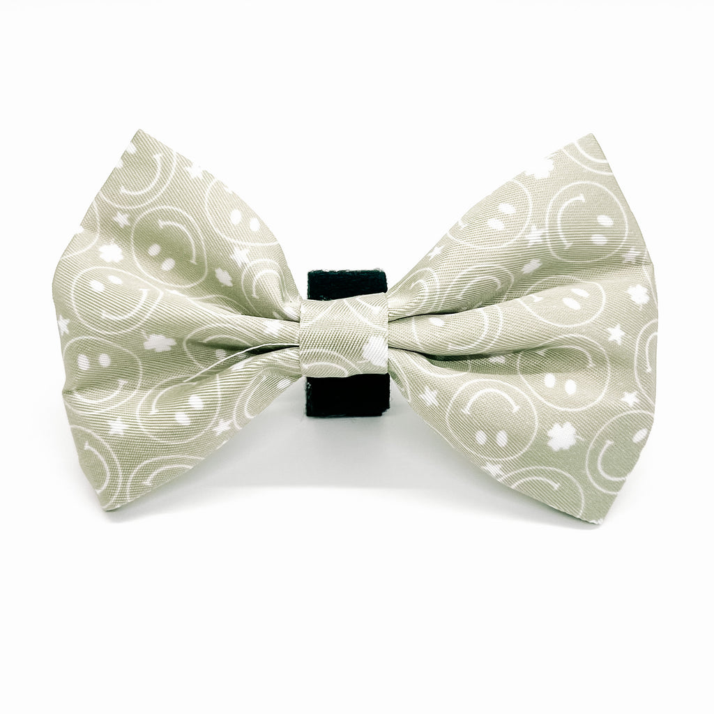 Shamrock Smiles Bow Tie - Jersey Border Collars