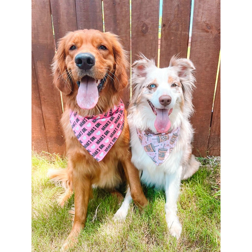 Mama's Girl Bandana - Jersey Border Collars