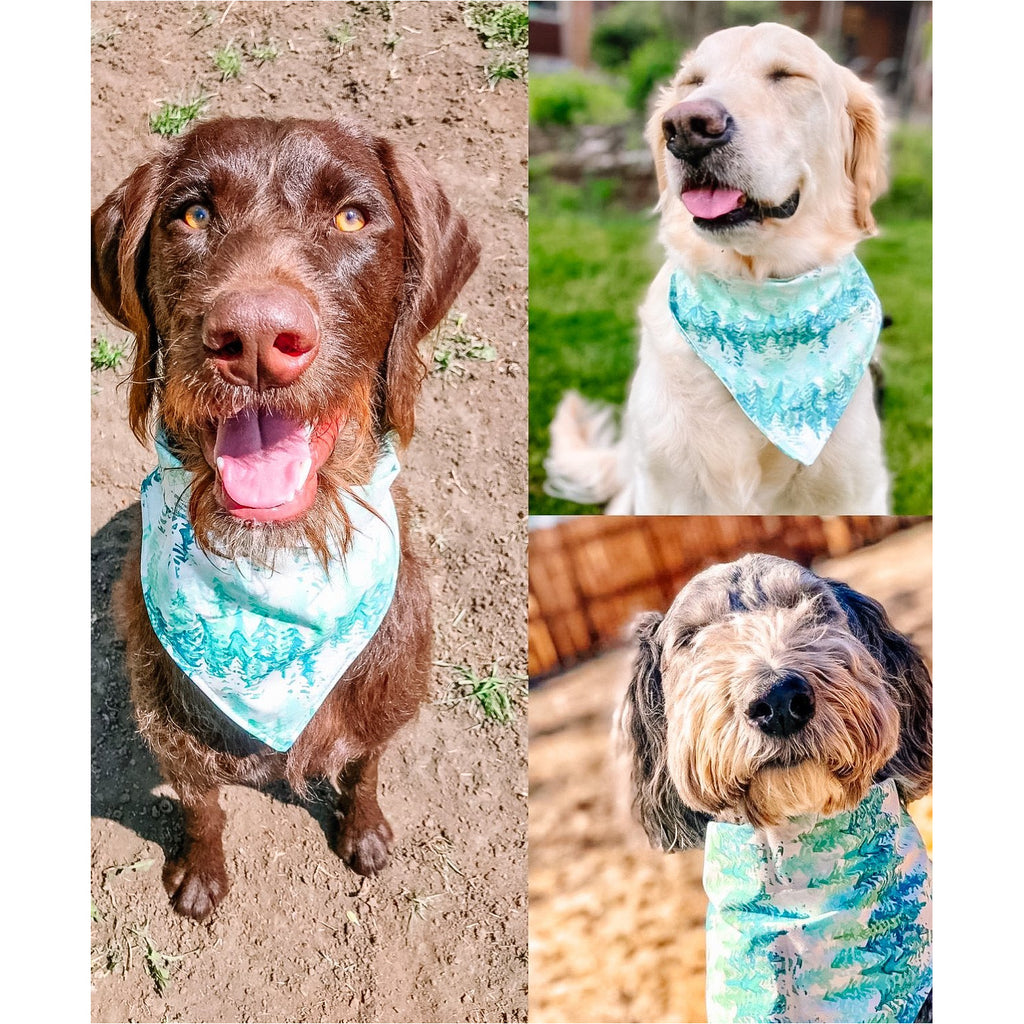 Valley View Bandana - Jersey Border Collars