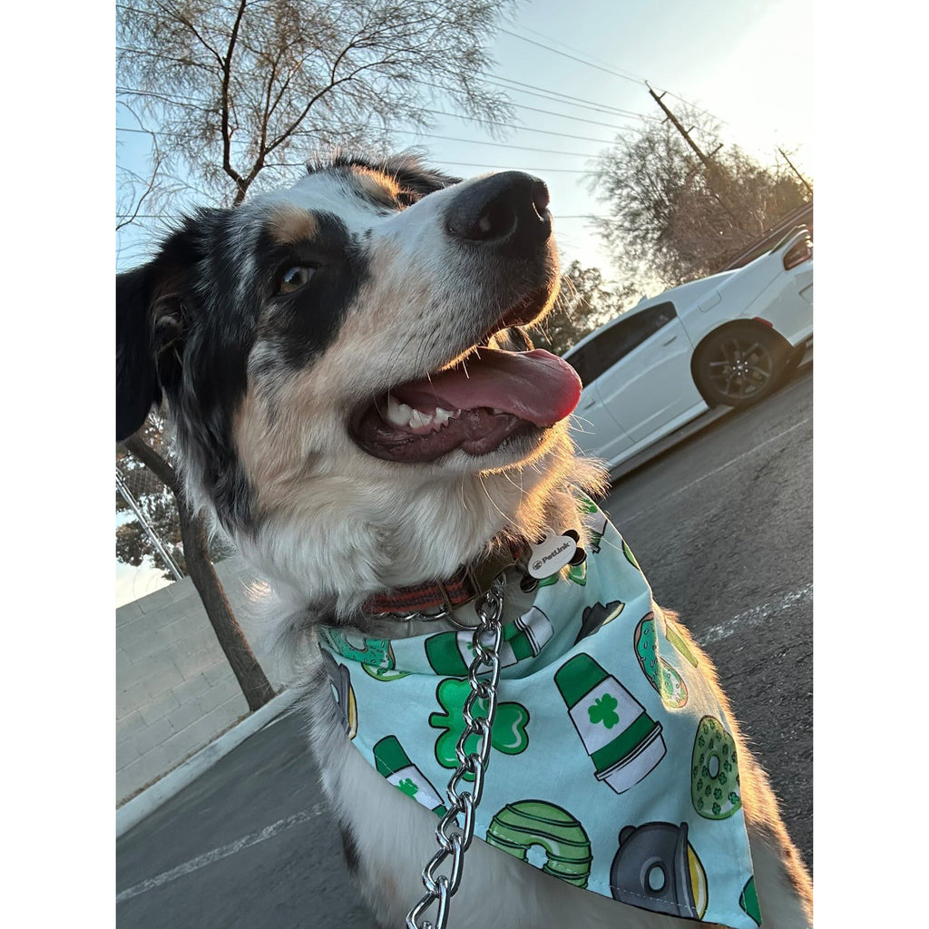 St. Patty's Day Donuts & Coffee / Clover Bandana - Reversible - Jersey Border Collars