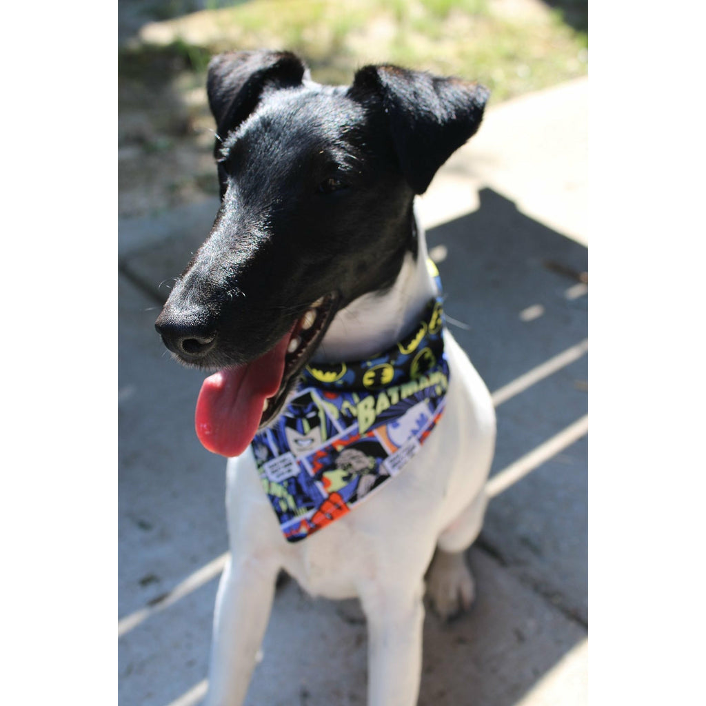 Batman Comic Bandana - Reversible - Jersey Border Collars