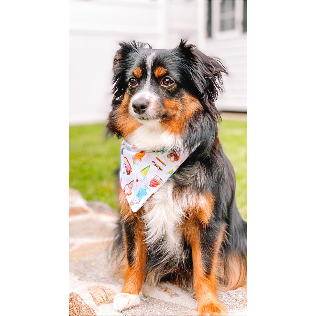 We All Scream for Ice - cream Bandana - Jersey Border Collars