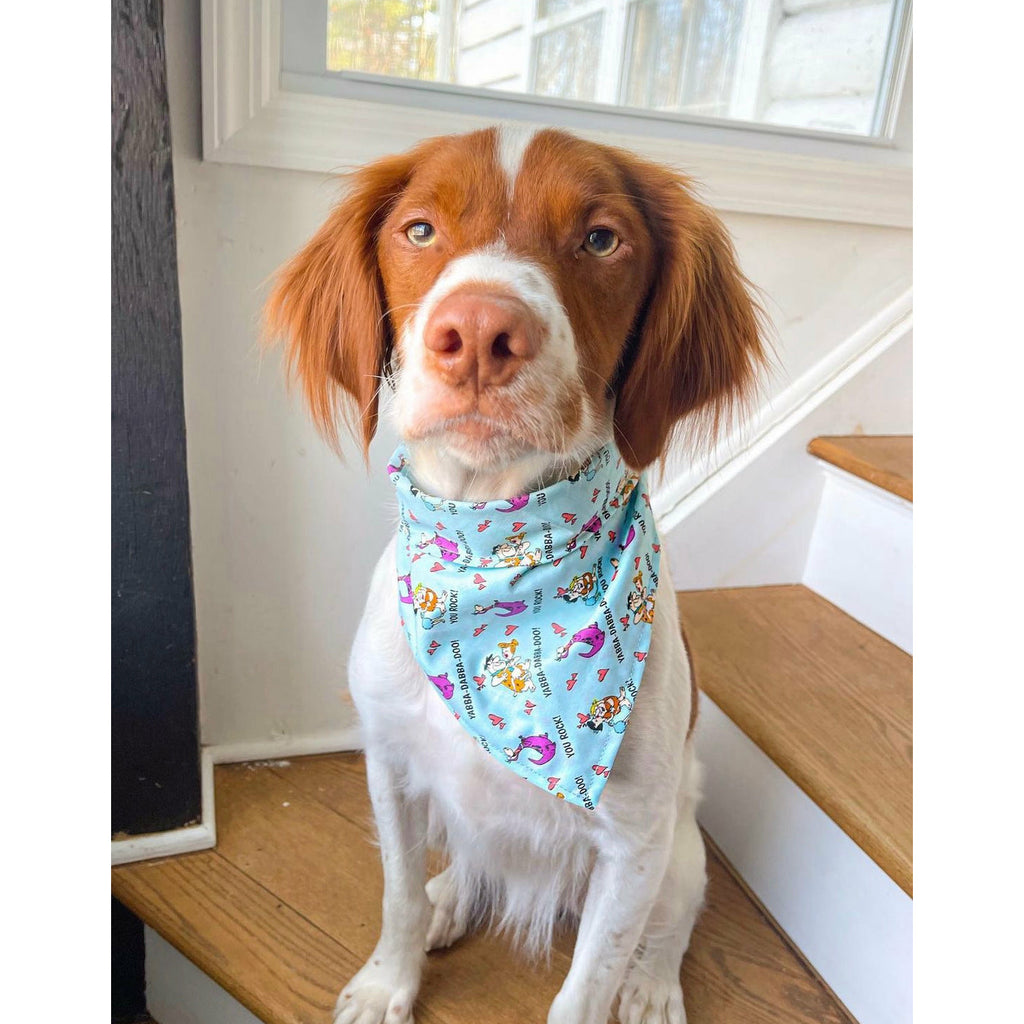 Yabba - Dabba - Doo, I Love You / Flintstones Bandana - Jersey Border Collars