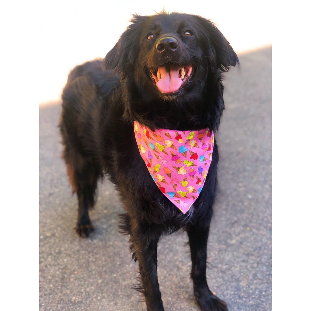 It’s A Icecream Party Bandanna - Jersey Border Collars