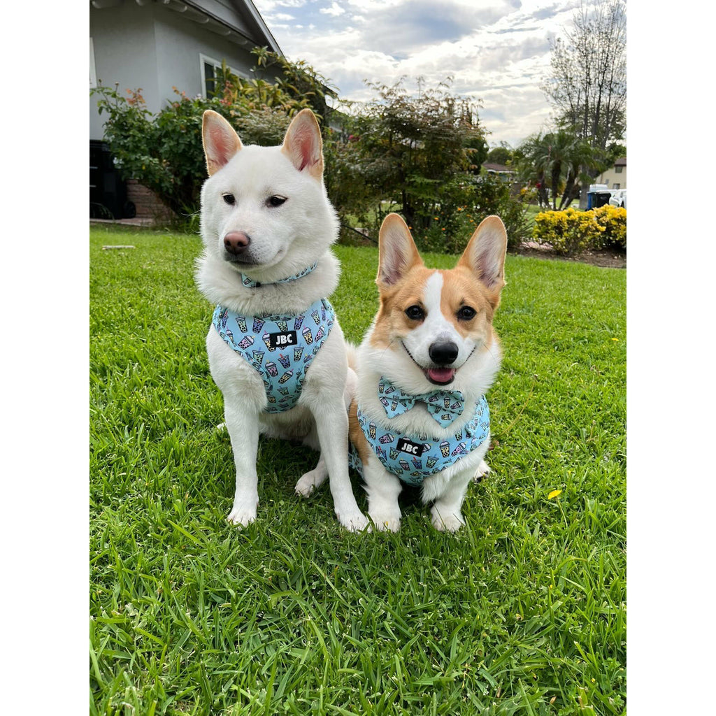 Blue Bobalicious Adjustable Harness - Jersey Border Collars