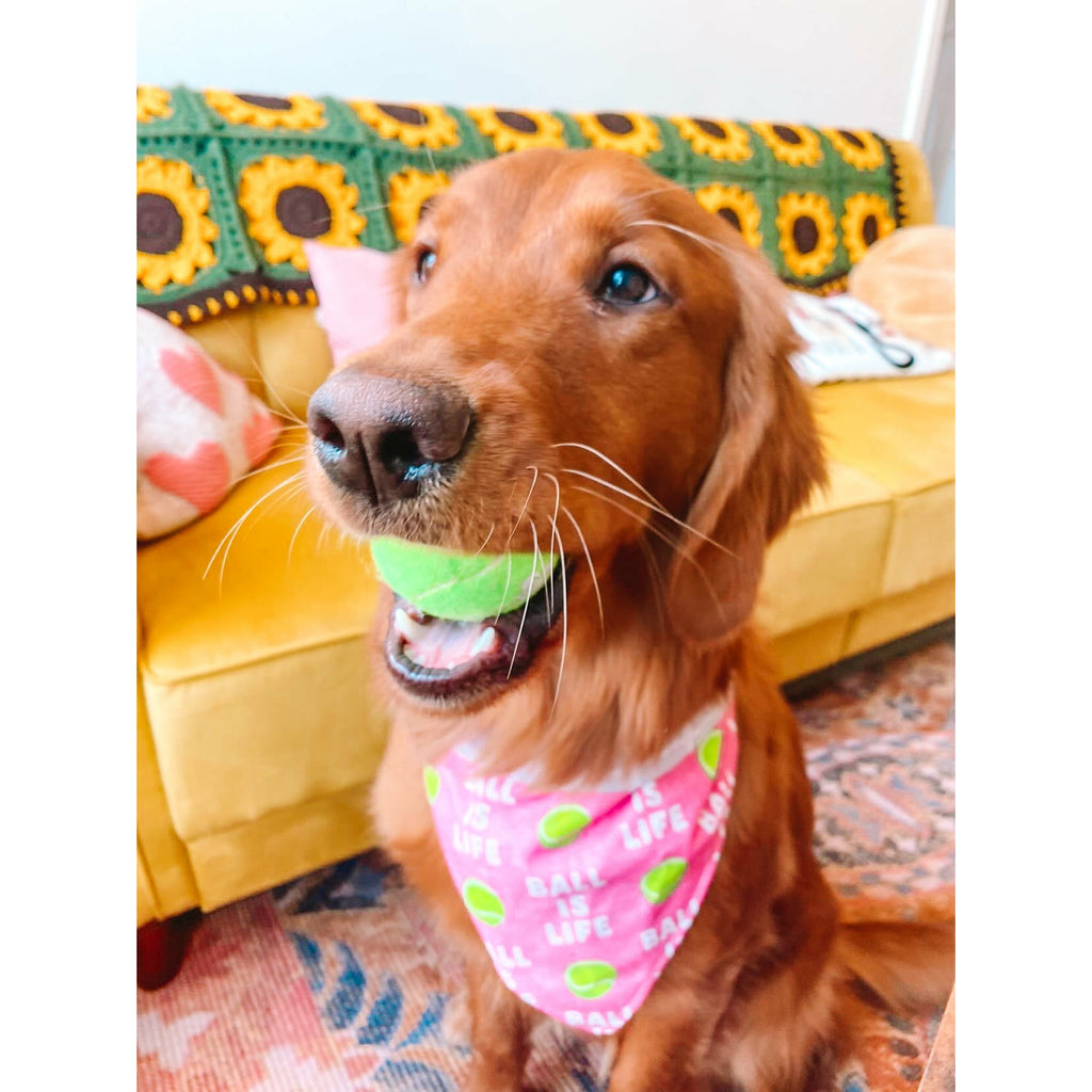 Pink Ball is Life Bandana - Reversible - Jersey Border Collars