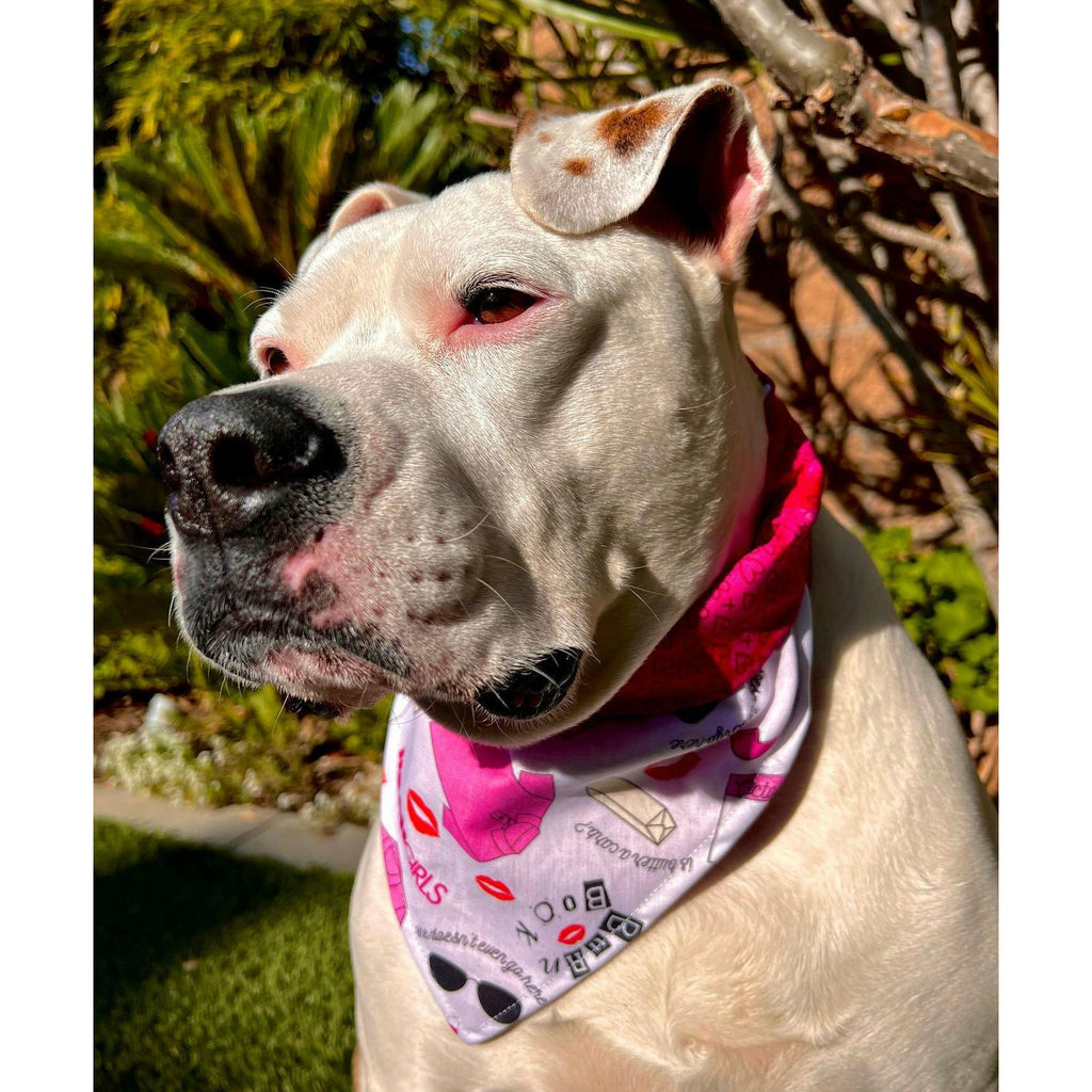 On Wednesdays We Wear Pink / Mean Girls Bandana - Reversible - Jersey Border Collars