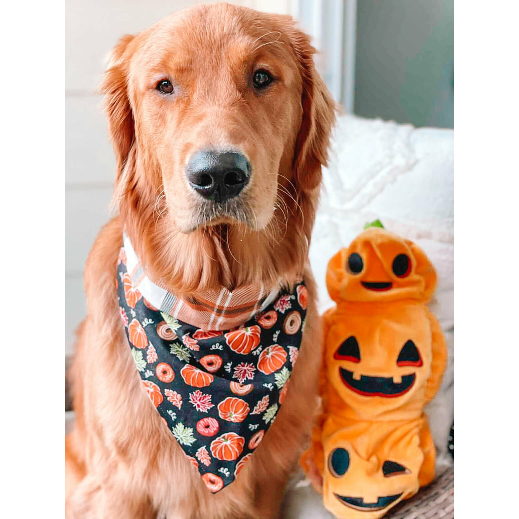 Life is Gourd / Flannel Bandana - Reversible - Jersey Border Collars