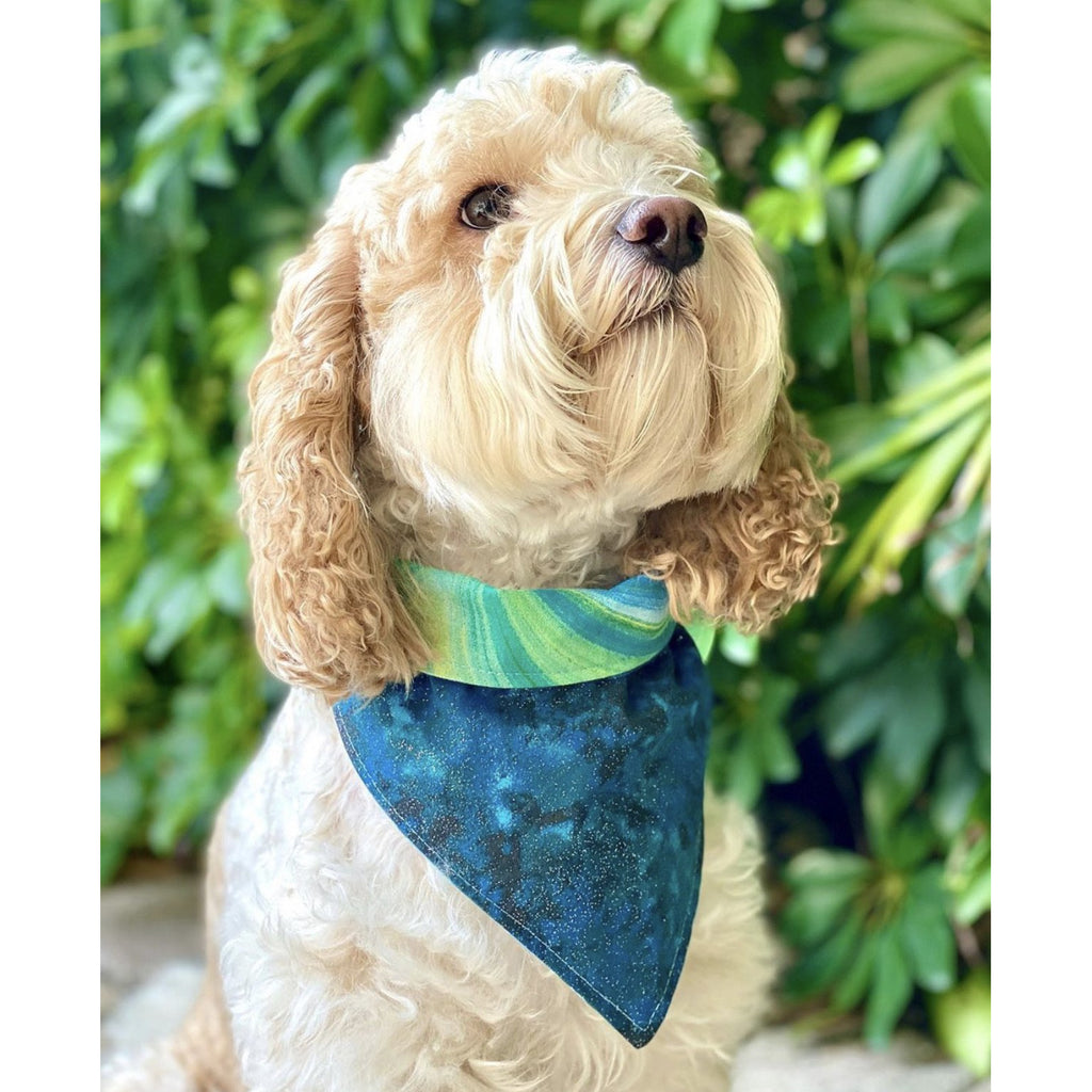 Galaxy Bandana - Reversible - Jersey Border Collars