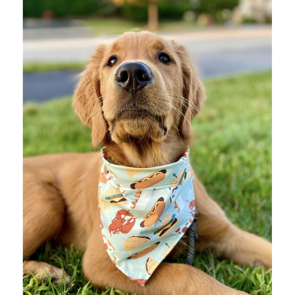 Blue Food Truck Bandana - Jersey Border Collars