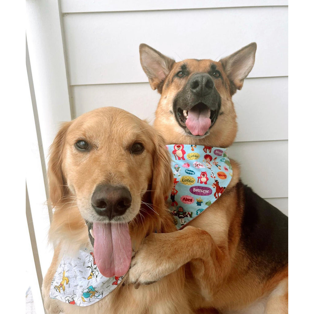 You've Got a Furiend in Me / Toy Story Bandana - Reversible - Jersey Border Collars