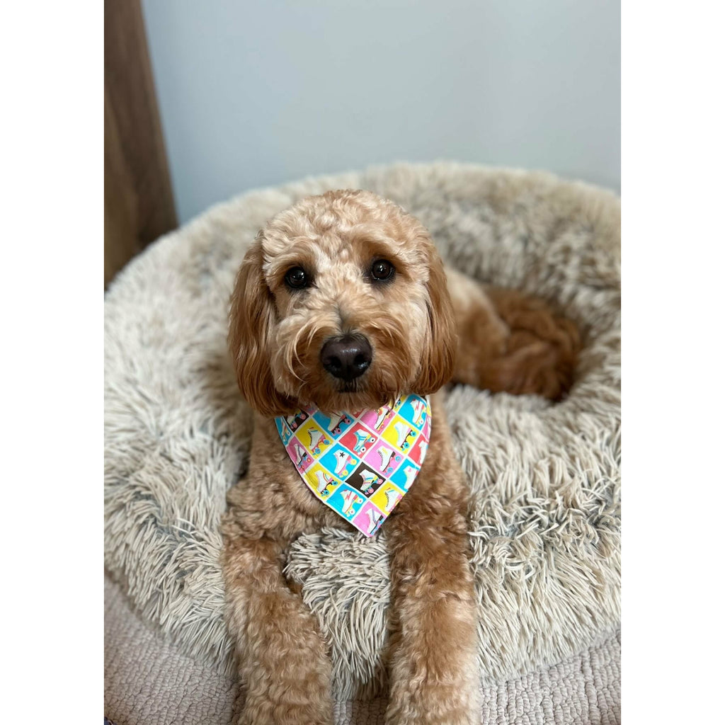 Roller Skates Bandana - Jersey Border Collars