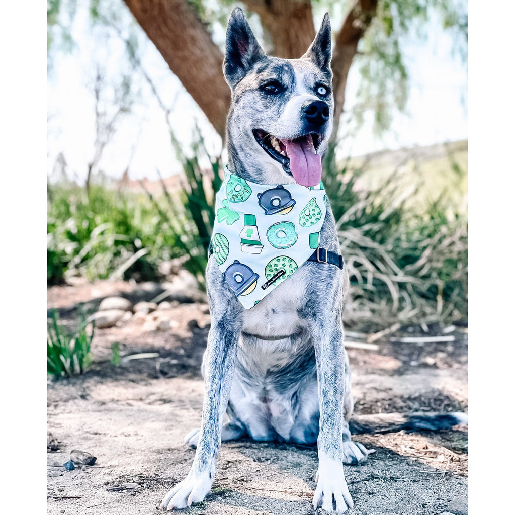 St. Patty's Day Donuts & Coffee / Clover Bandana - Reversible - Jersey Border Collars