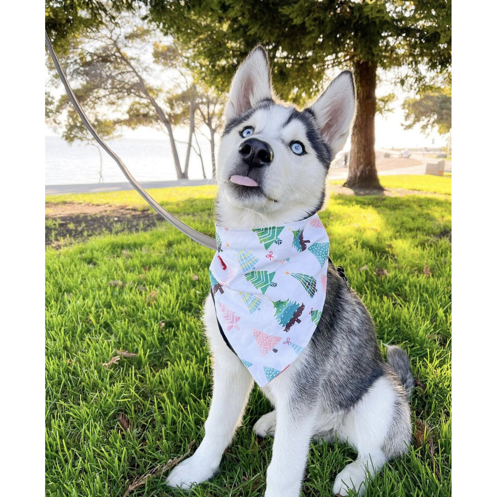 Winter Trees Bandana - Jersey Border Collars