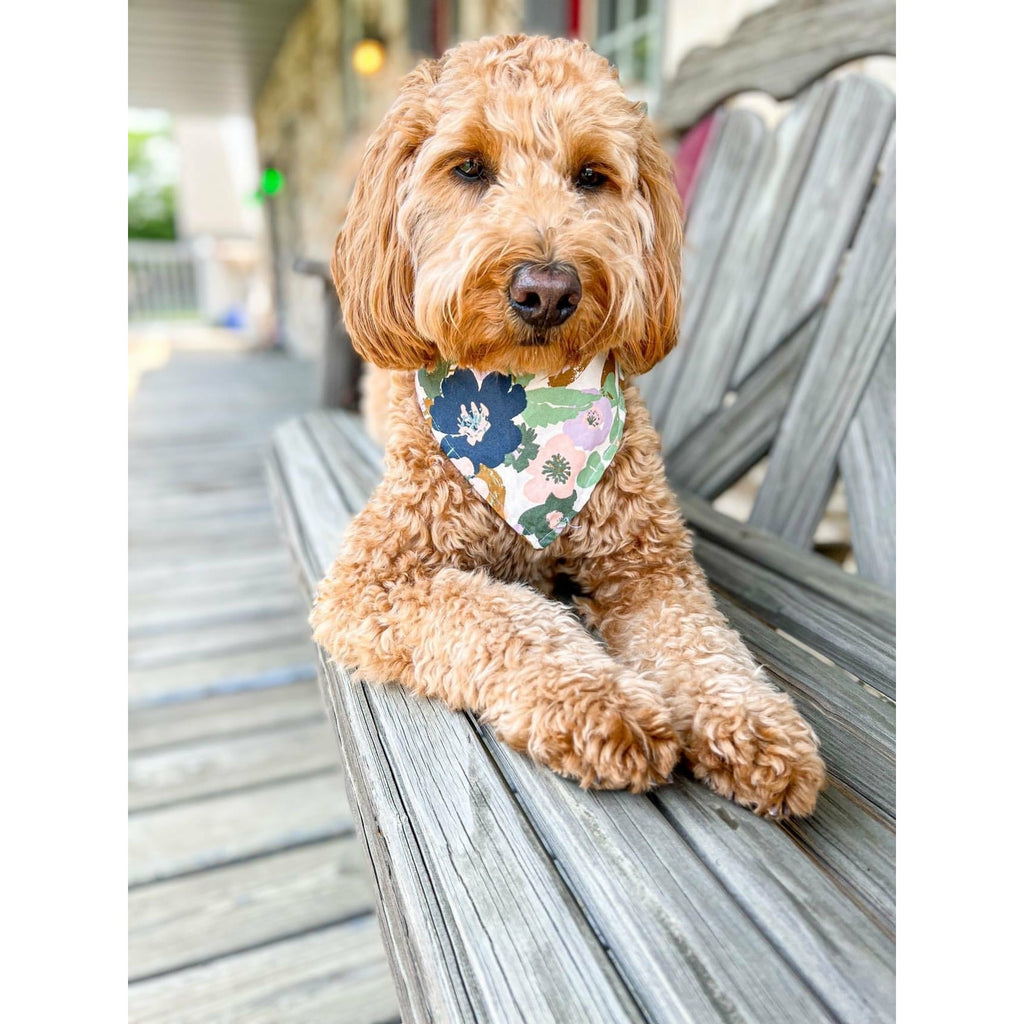 Full Bloom / Purple Strawberries Bandana - Reversible - Jersey Border Collars