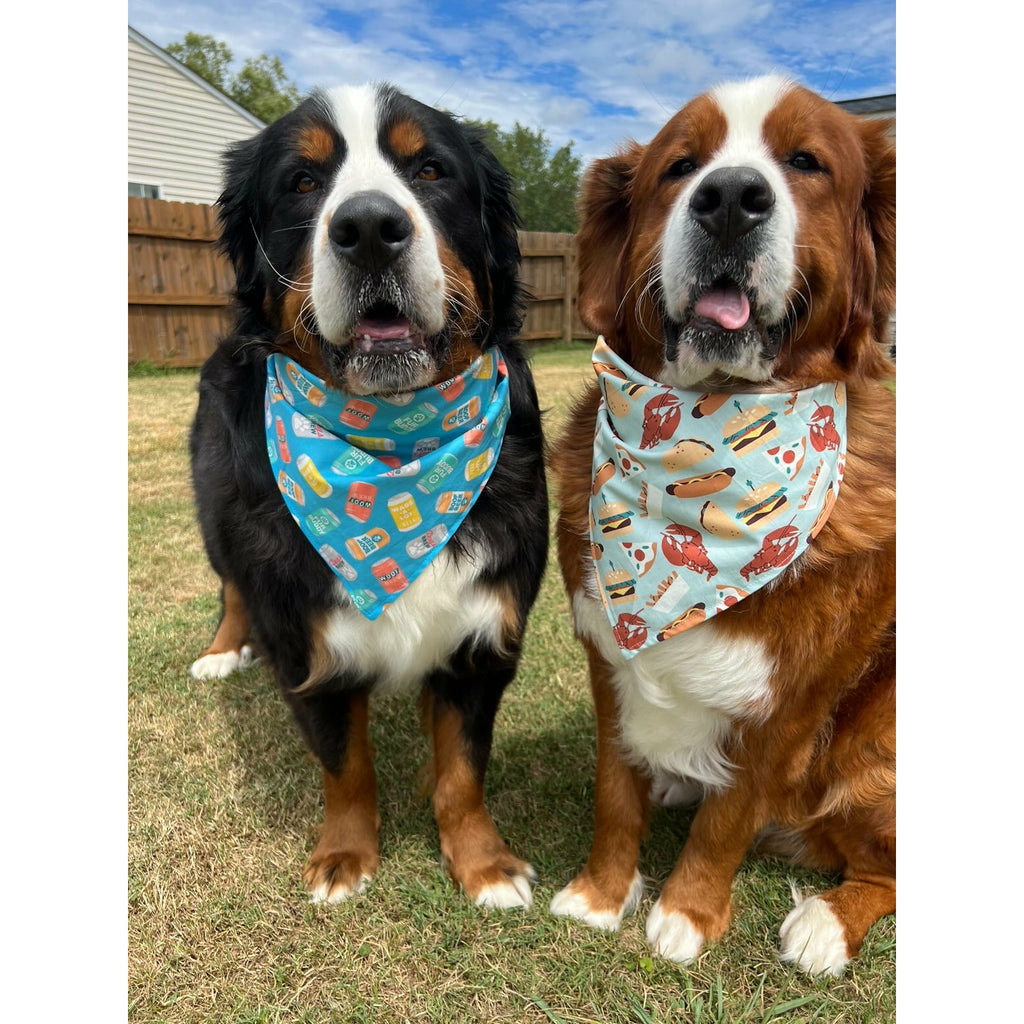 Blue Food Truck Bandana - Jersey Border Collars