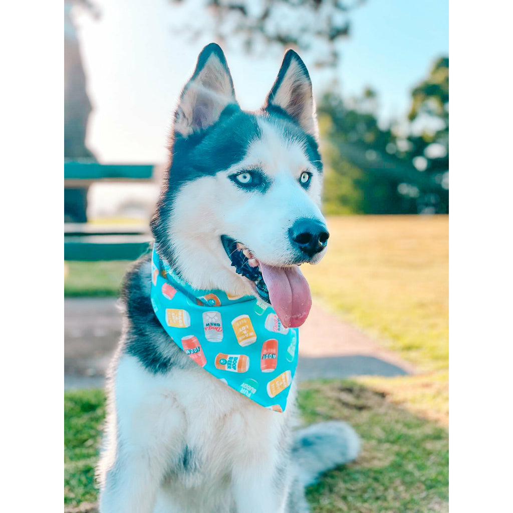 Brew Buddy Bandana - Reversible - Jersey Border Collars