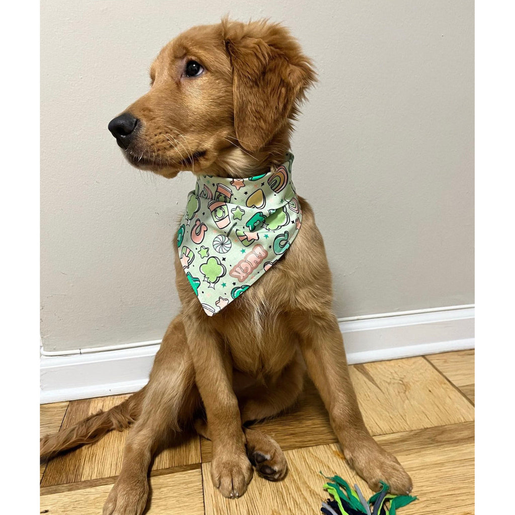 Lucky Charms Bandana - Jersey Border Collars